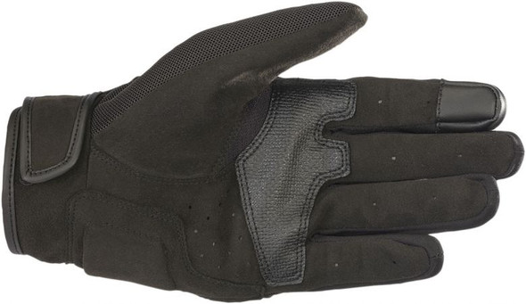 Black Palm Detail